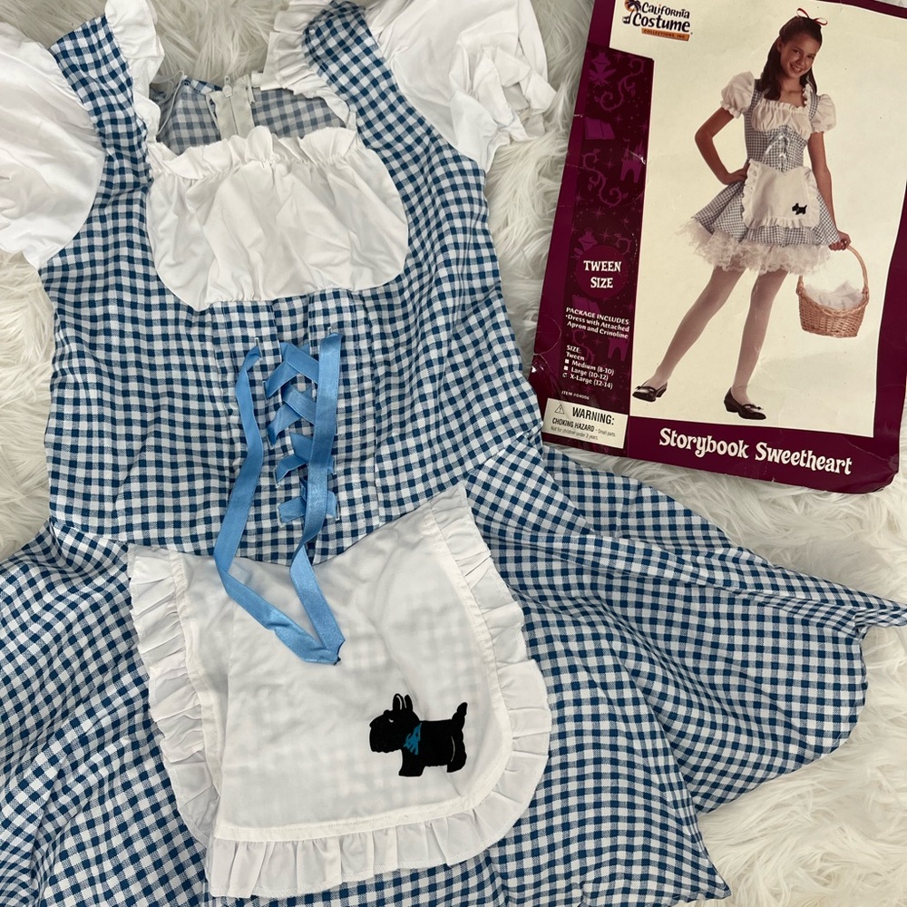 Tween Costume, size 12-14 - Dorothy Halloween Costume